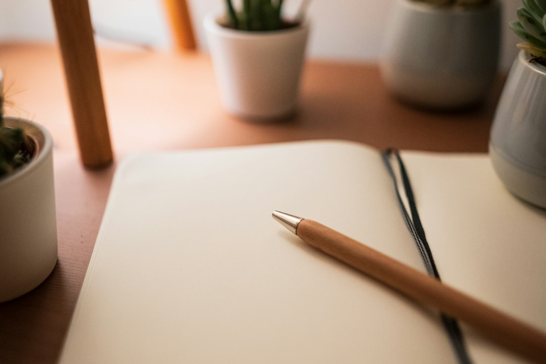 文章・画像選定